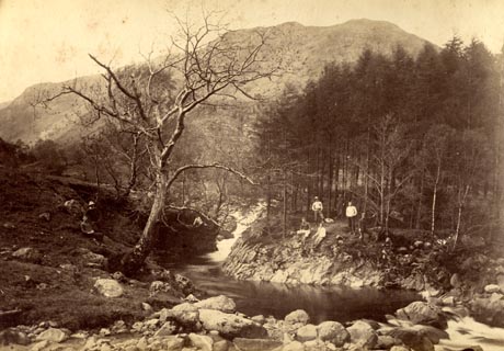 image, button to large image