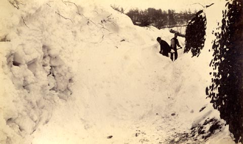 image, button to large image