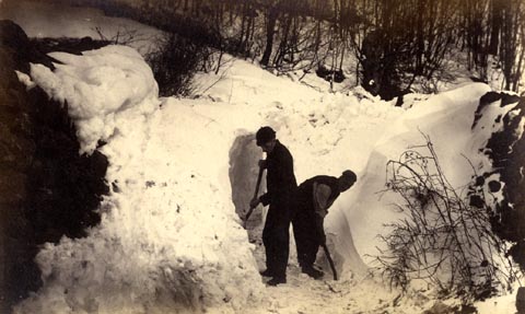 image, button to large image