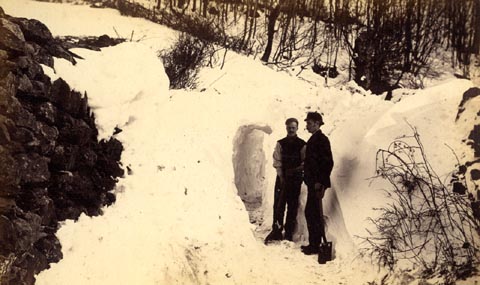 image, button to large image