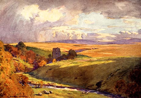 image, button to large image