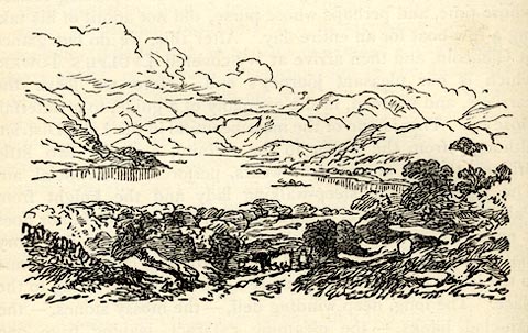 image, button to large image