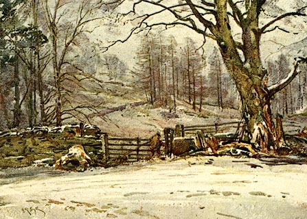 image, button to large image