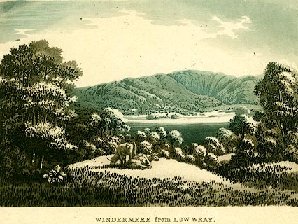 image, button to large image