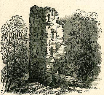 image, button to large image