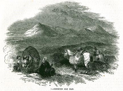 image, button to large image