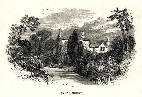 image, button to large image