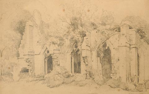 image, button to large image