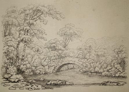 image, button to large image