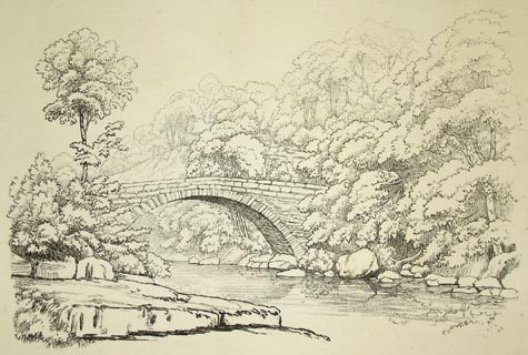 image, button to large image