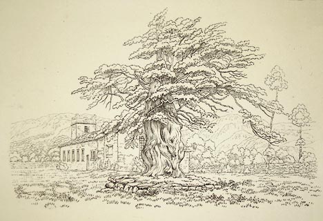 image, button to large image