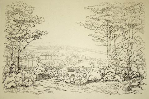 image, button to large image