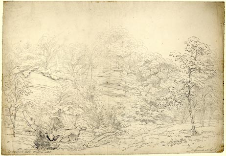 image, button to large image