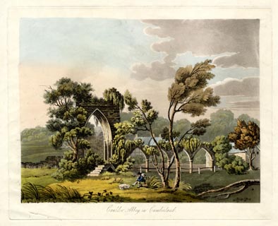 image, button to large image