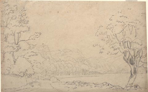 image, button to large image