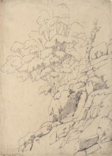 image, button to large image