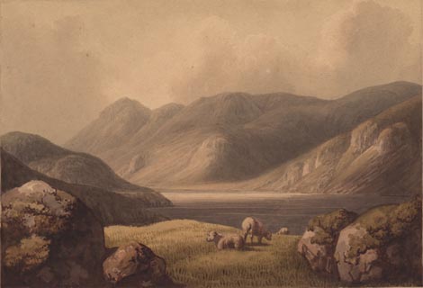 image, button to large image