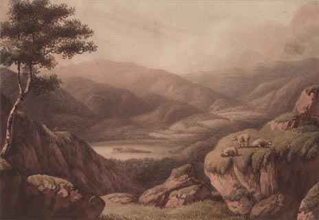 image, button to large image