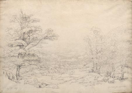 image, button to large image