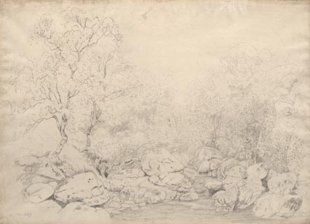 image, button to large image