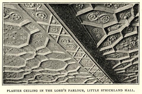 image, button to large image