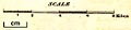thumbnail, button to large image