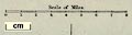 thumbnail, button to large image
