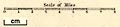 thumbnail, button to large image