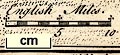 thumbnail, button to large image