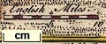 thumbnail, button to large image