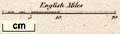 thumbnail, button to large image