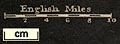 thumbnail, button to large image