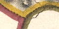 snip from map image