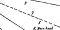 snip from map image