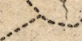 snip from map image