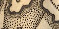 snip from map image