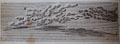 thumbnail; button to large image