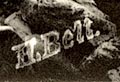 button to large image