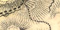 snip from map image