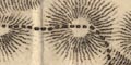 snip from map image
