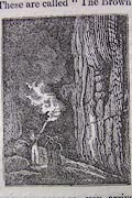 button to large image