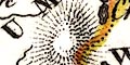 snip from map image