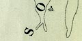 snip from map image