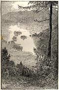 button to large image
