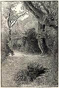 button to large image