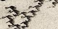 snip from map image