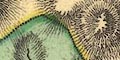 snip from map image