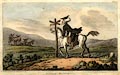 thumbnail; button to large image