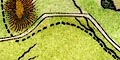 snip from map image