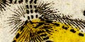 snip from map image